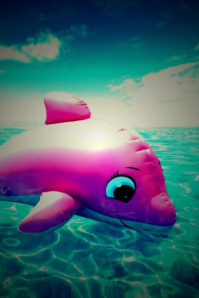 Надувной розовый дельфин обои