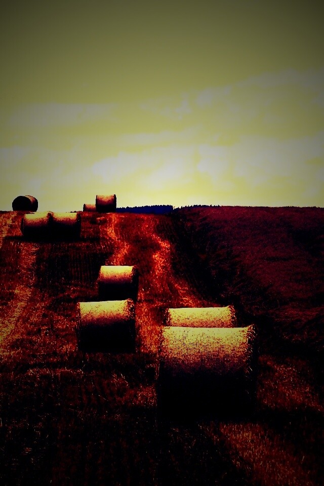 Уборка сена с поля обои