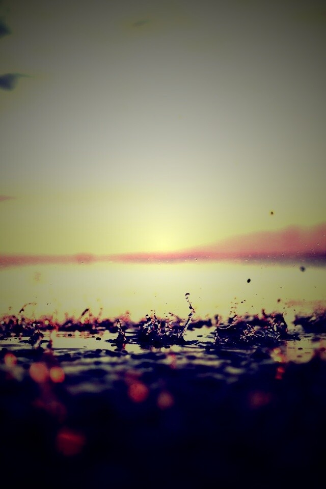 Дождь в макро обои