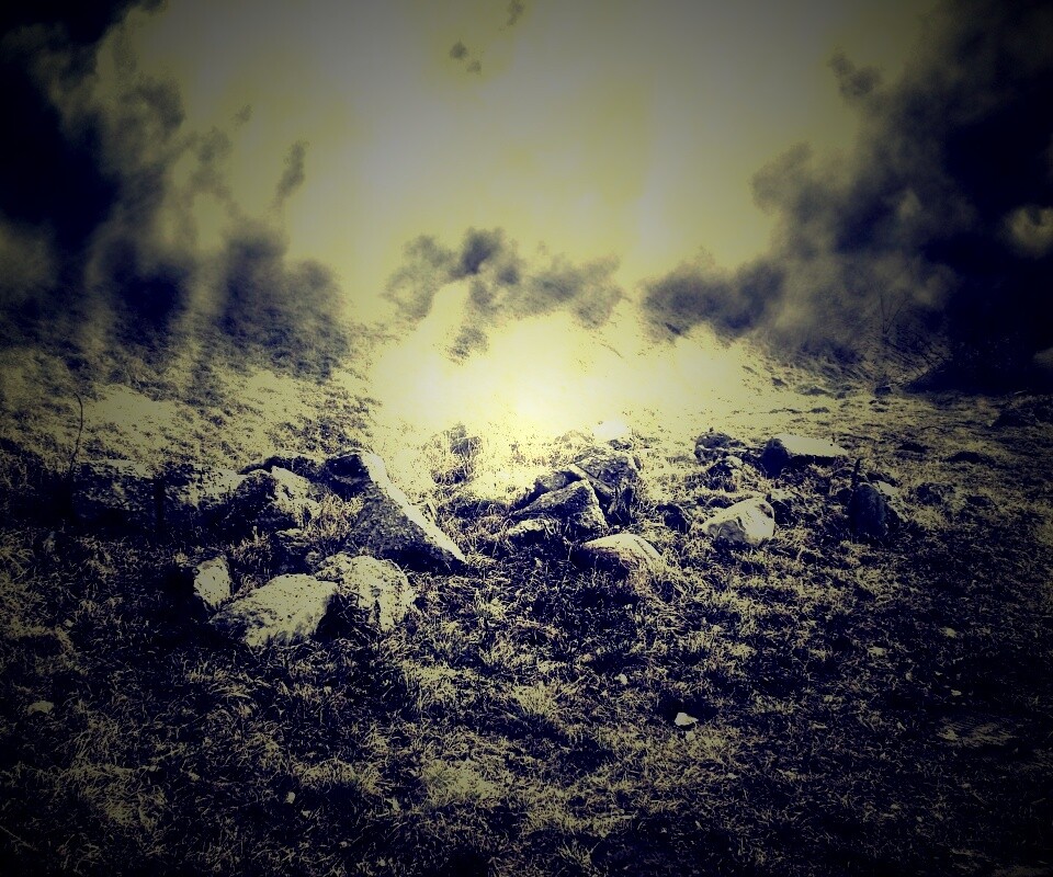 Туман на склоне обои