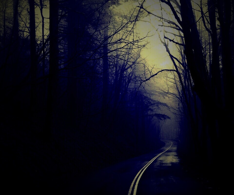 В туман обои