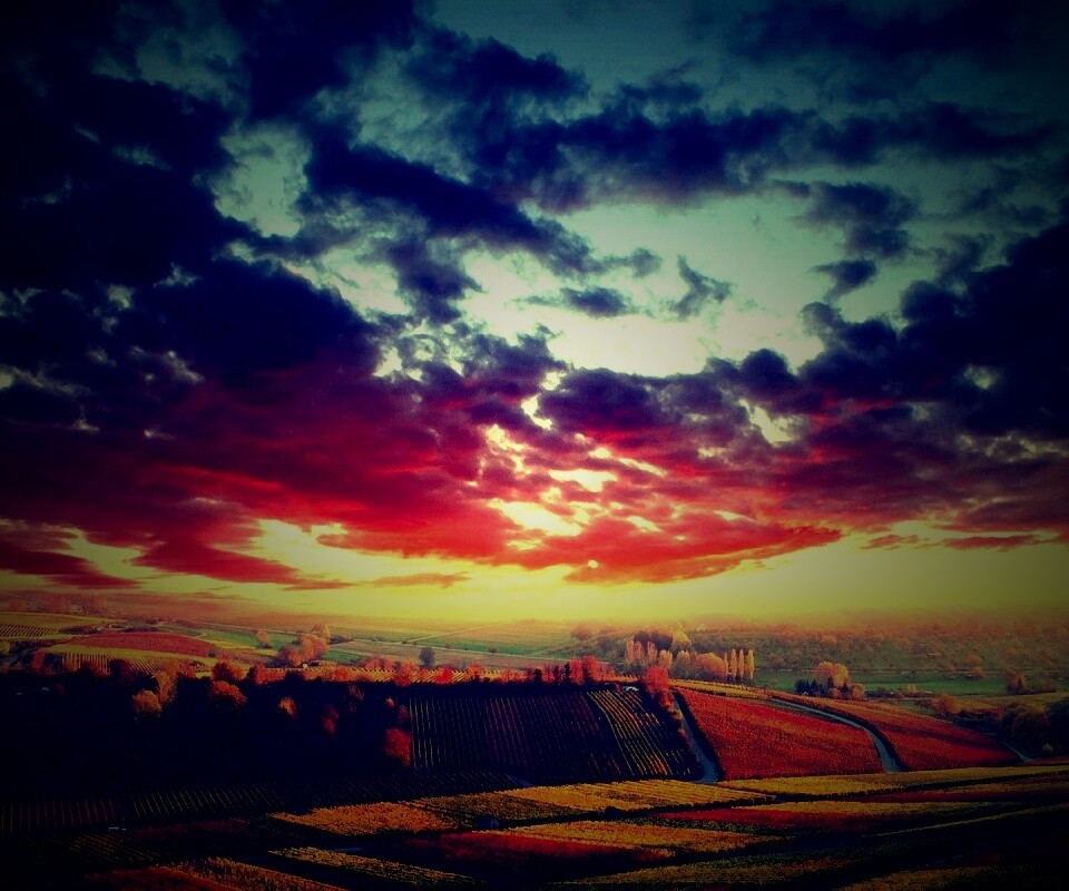 Обработанные земли в пригороде обои