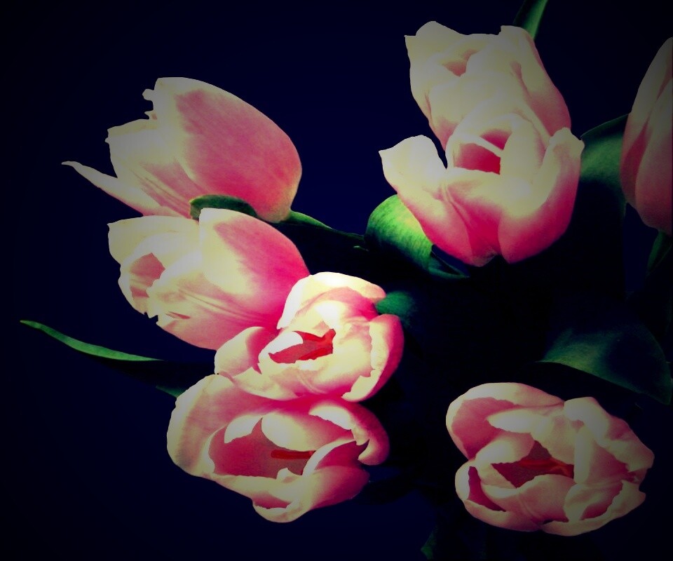 Розовый букет обои