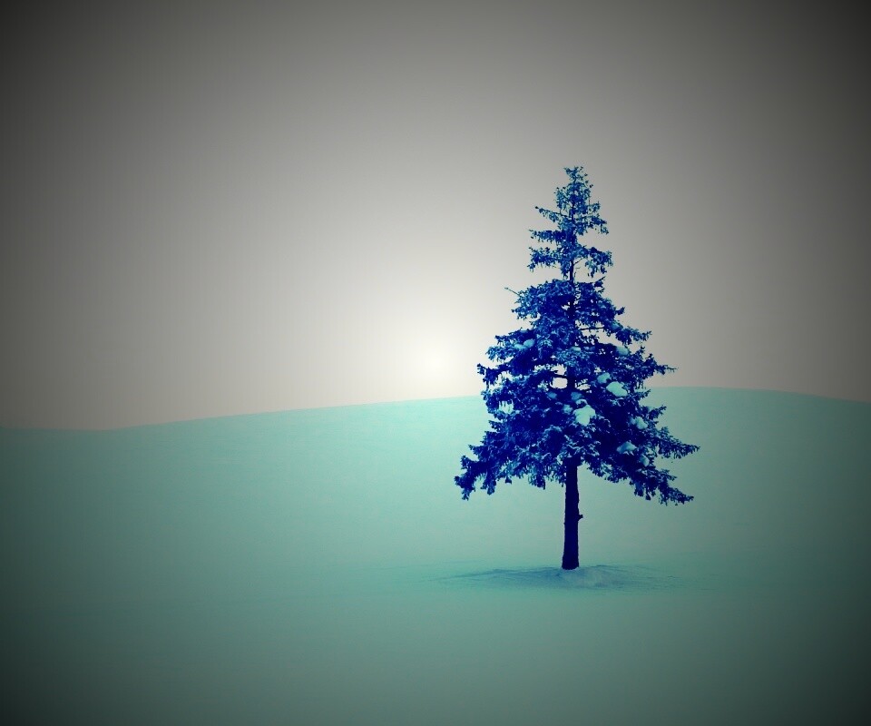 Одинокая ёлка обои