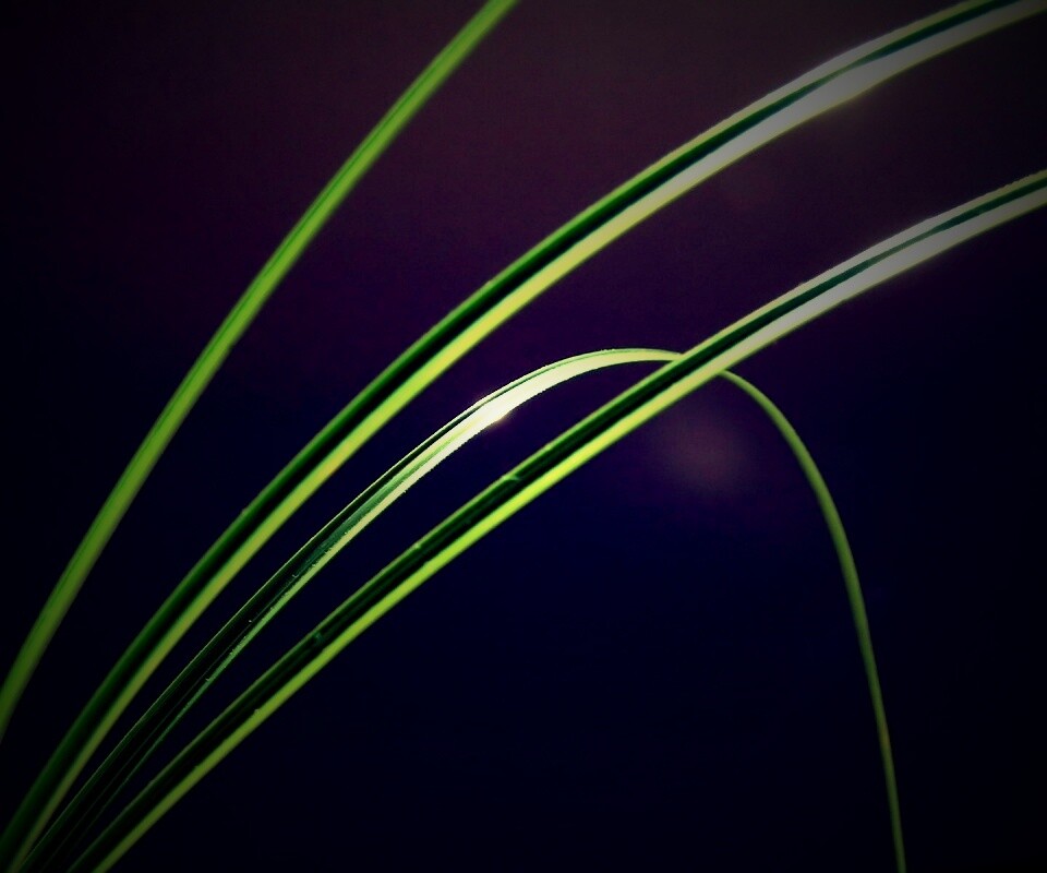 Четыре травинки обои