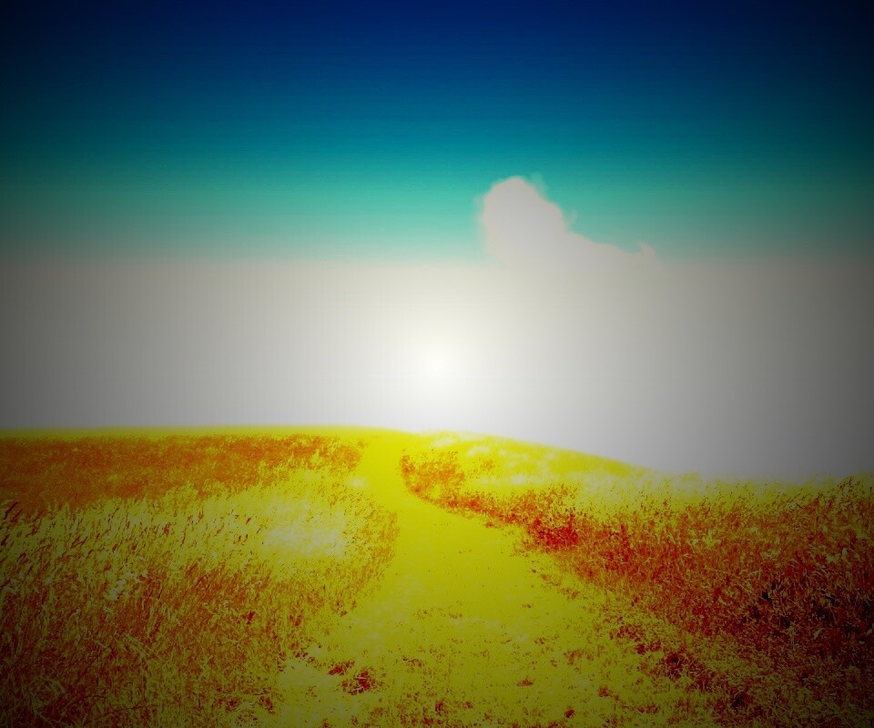 Золоте поле обои