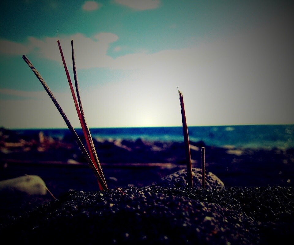 Солома на океанском берегу обои