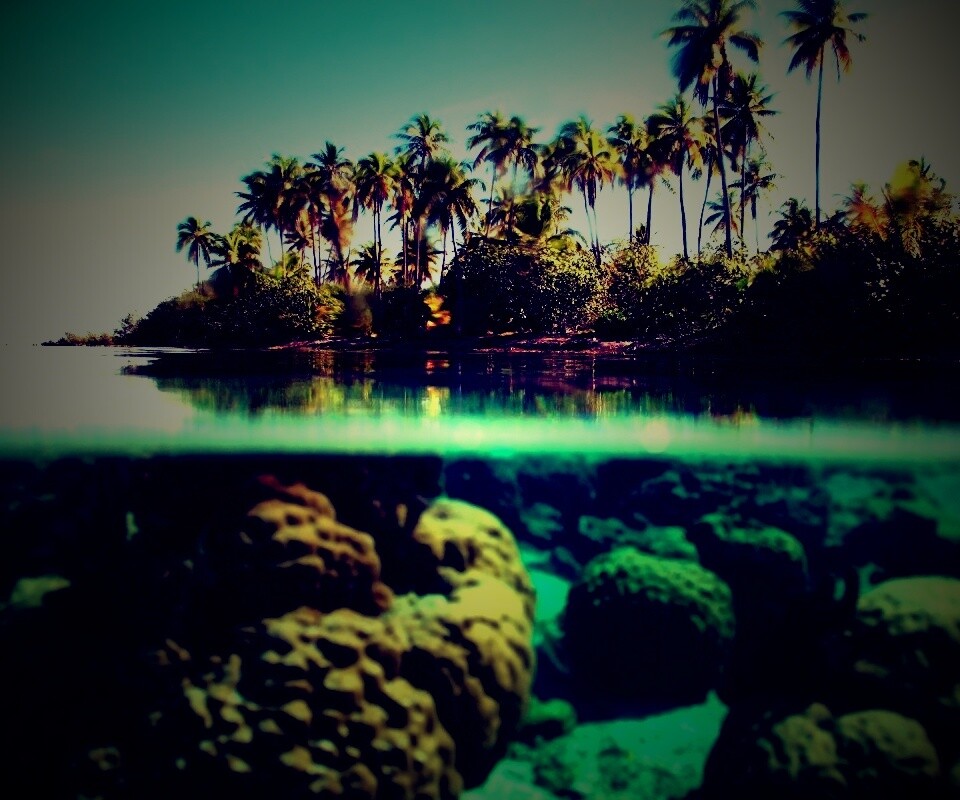 Из-под воды обои