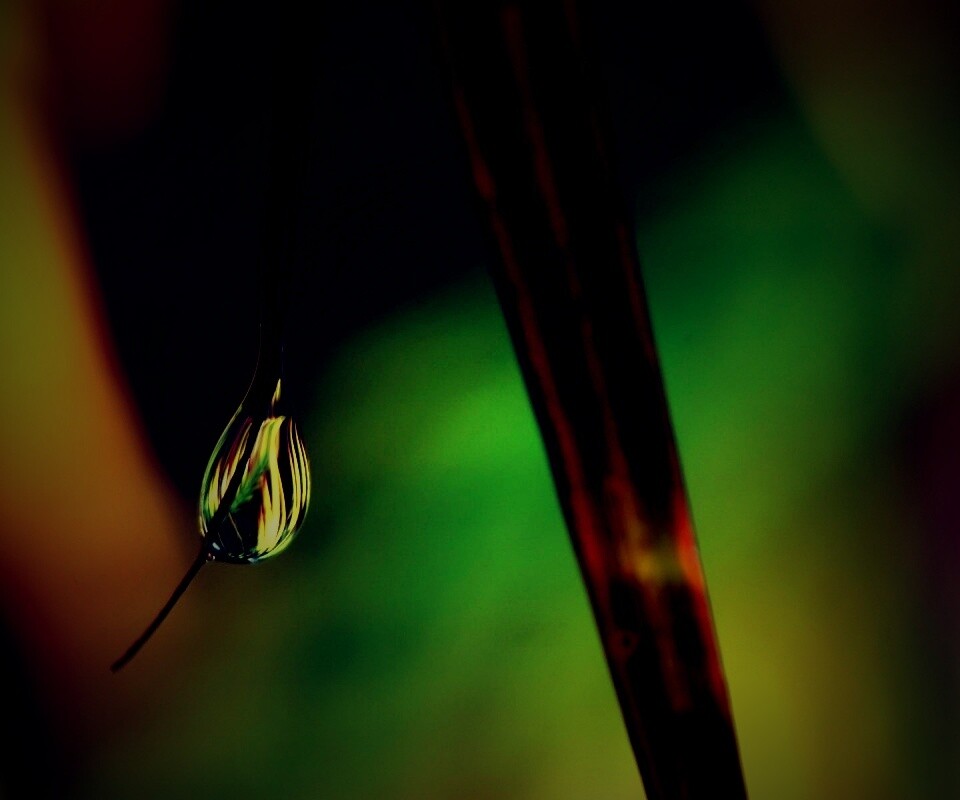 Стекающая капля обои