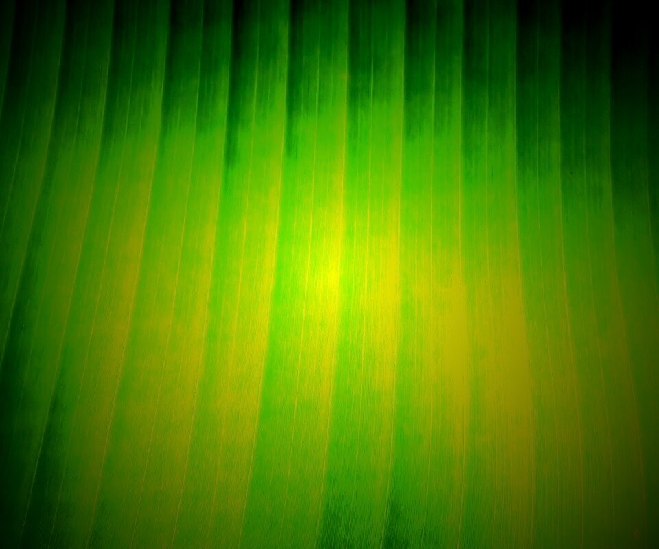 Травяные полосы обои