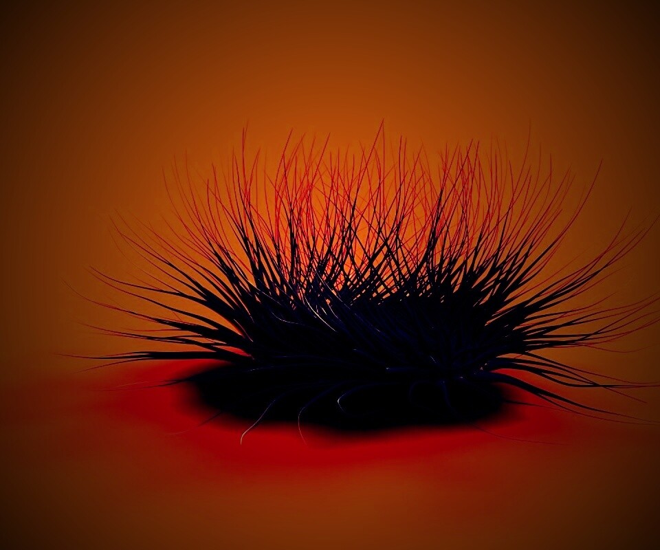 Волосатая мочалка обои