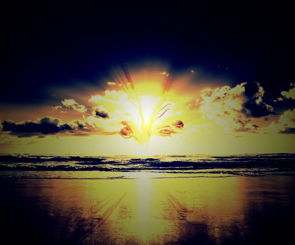 Абстрактные перья на фоне заката обои