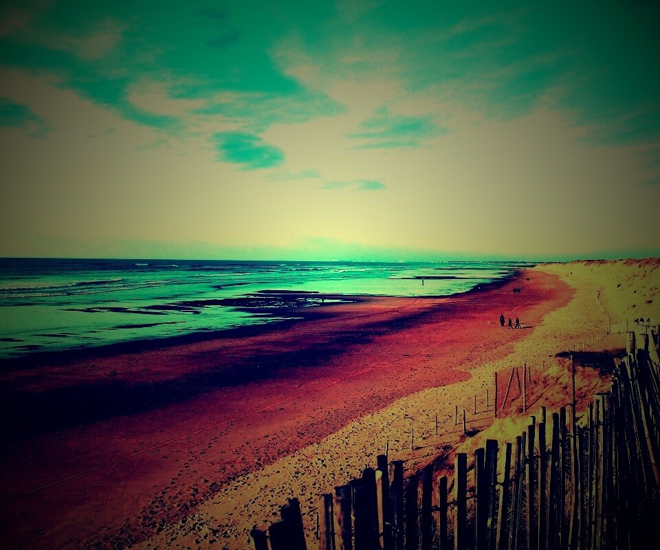 Обмелевший берег обои