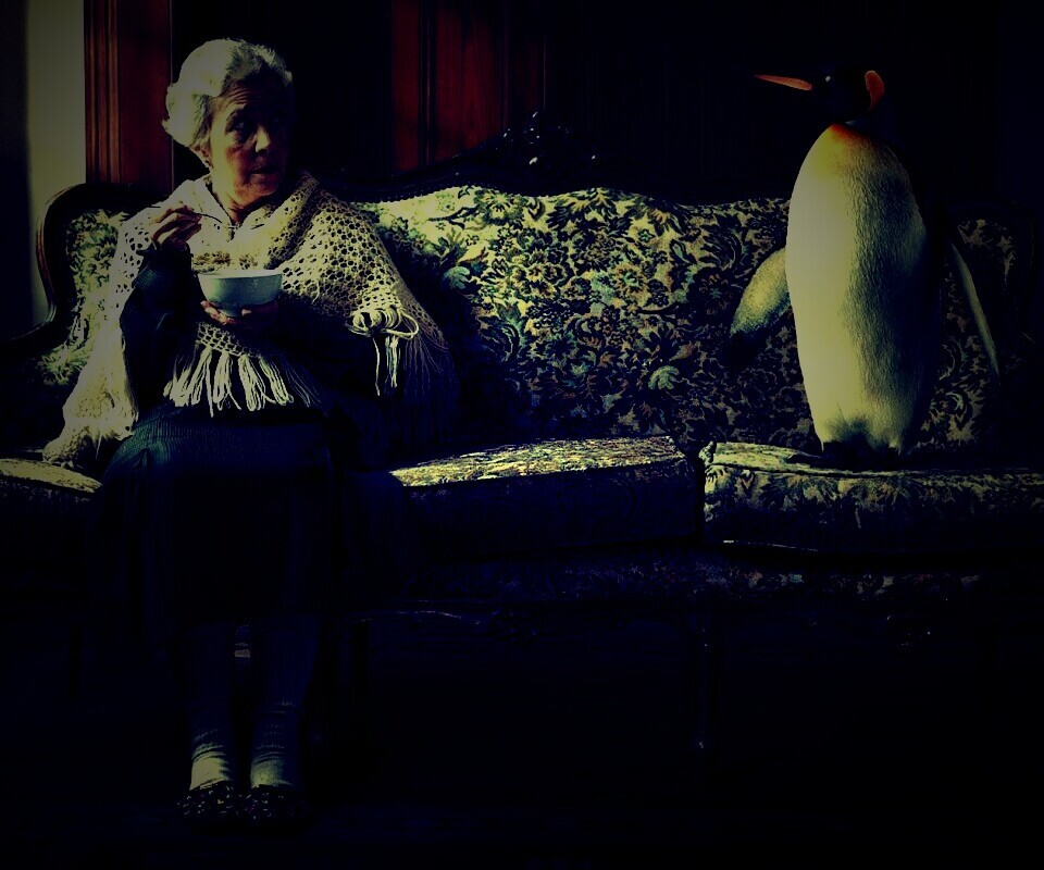 Соседи по дивану обои