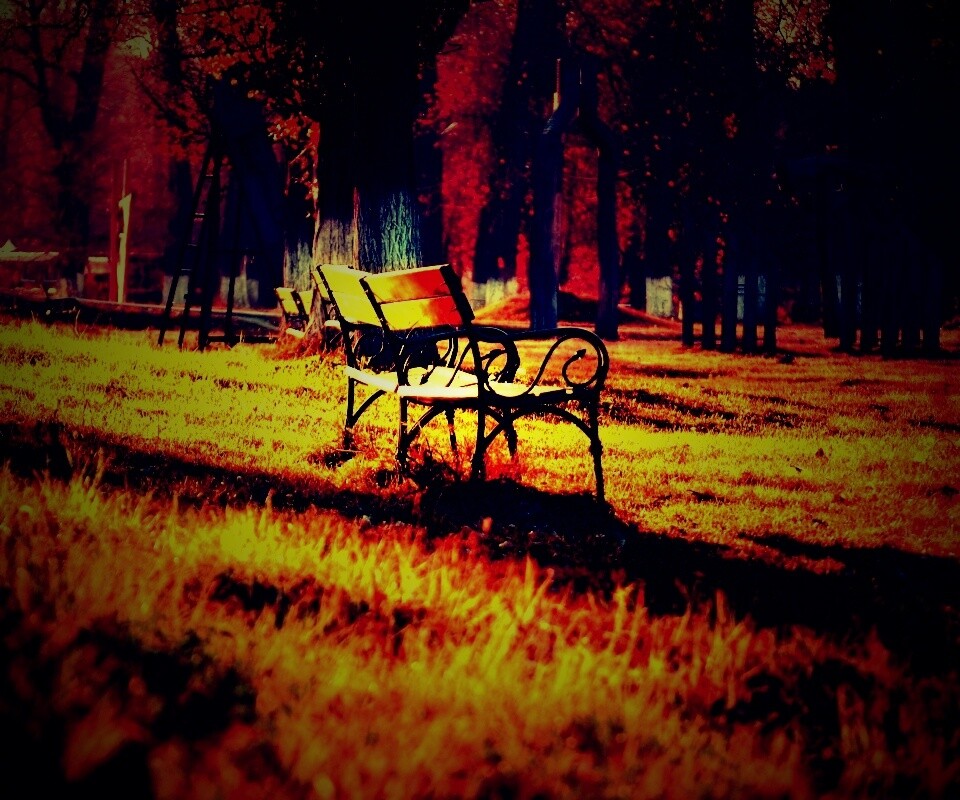 Скаймейка в осеннем парке обои