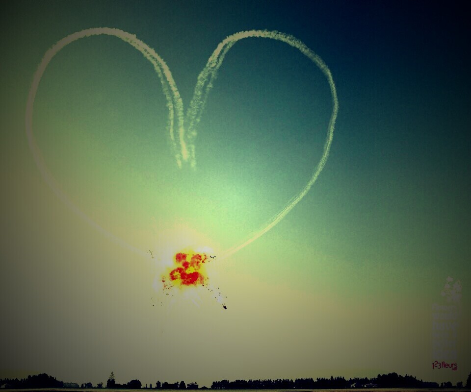 Цветы были бы лучшей идеей обои