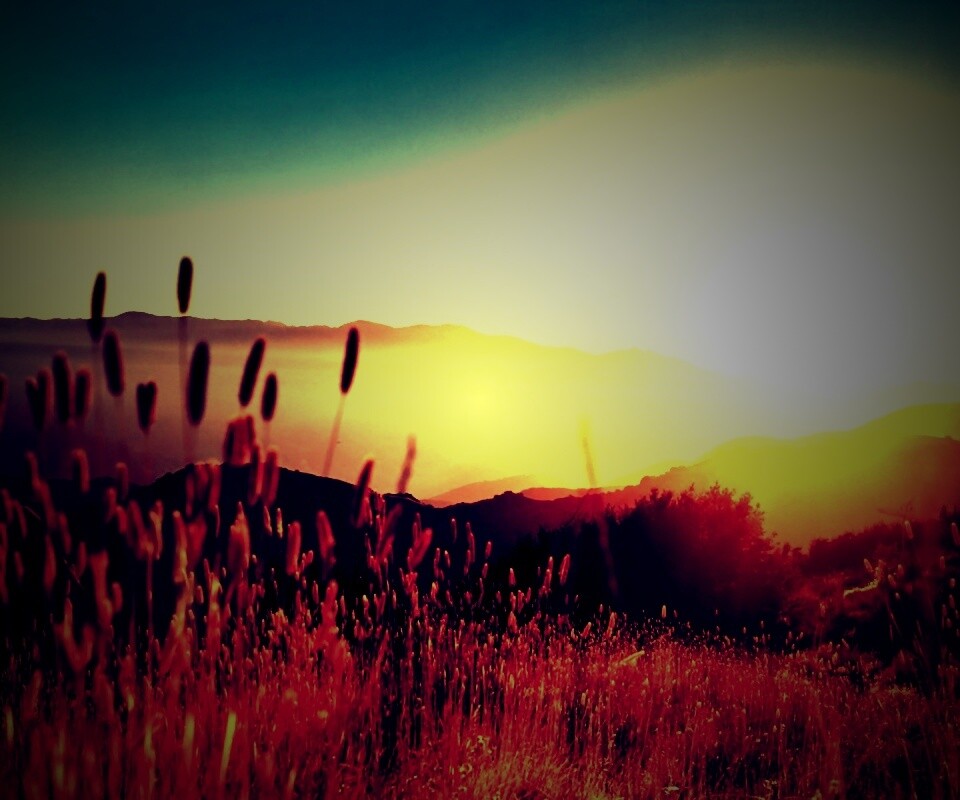 Восход над холмами обои