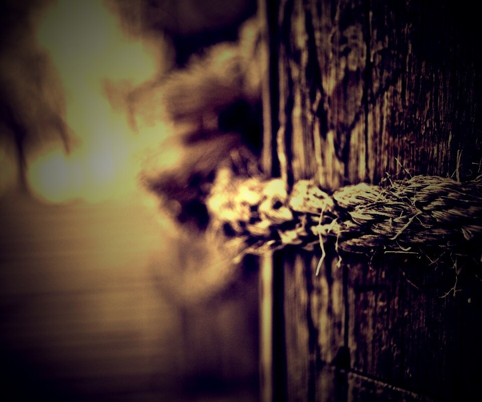 Веревка на деревянном столбе обои