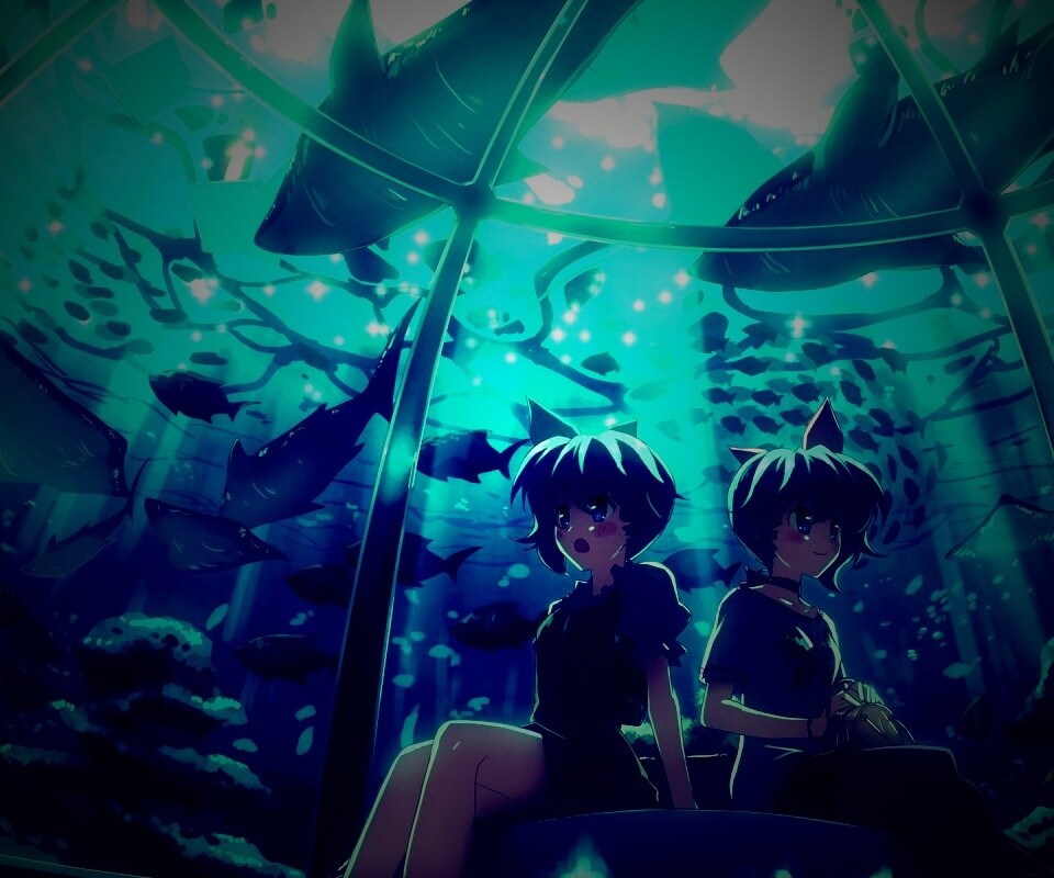 В океанариуме обои