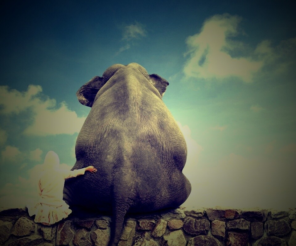 Девочка и слон обои