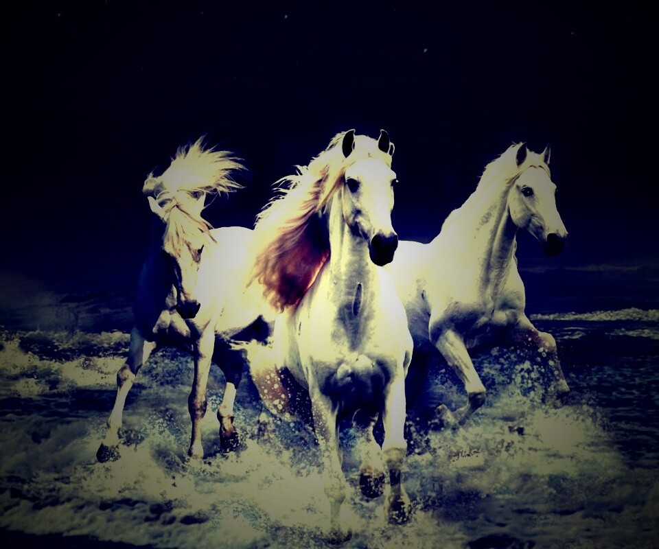 Тройка конец в море обои