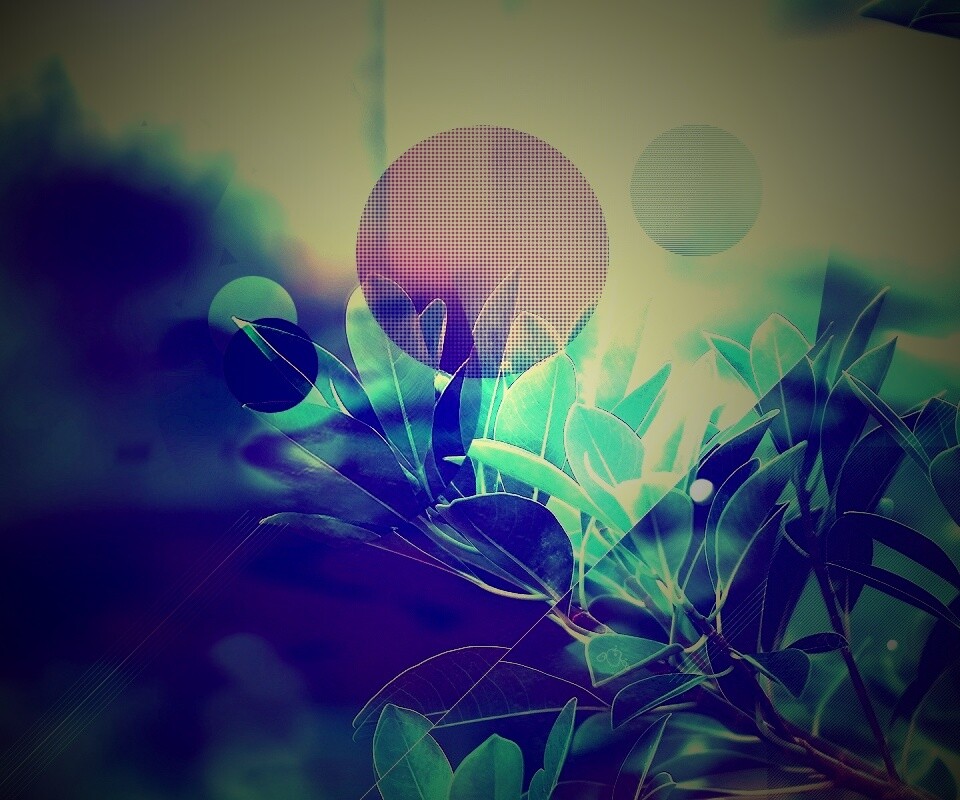 Синий фильтр с кргуами на фото листьев обои