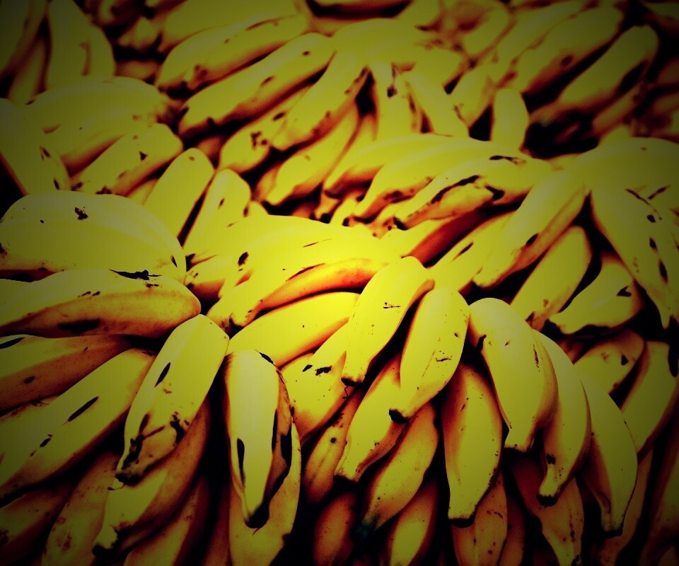 Много бананов обои