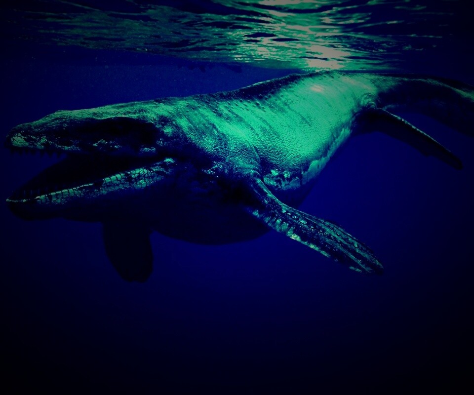 Морской динозавр обои