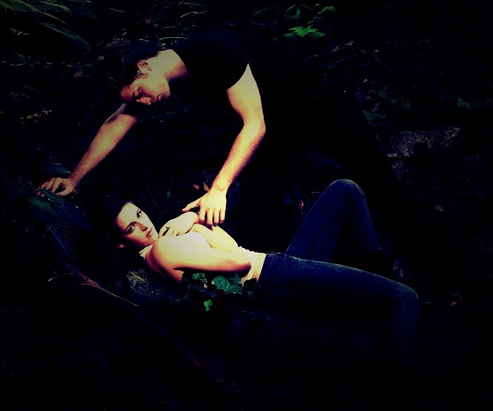 Эдвард и Белла в лесу обои