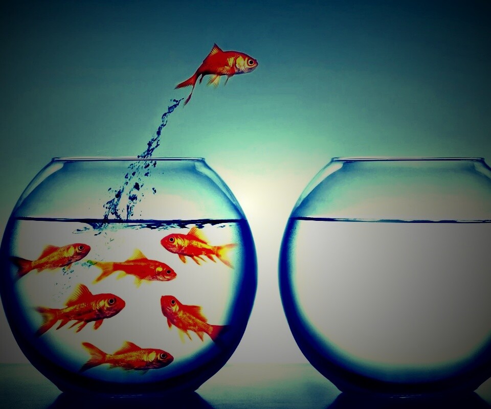 Побег рыбки обои