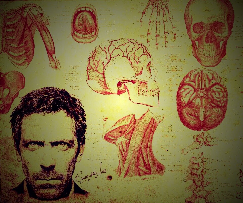 Анатомические рисунки доктора Хауса обои