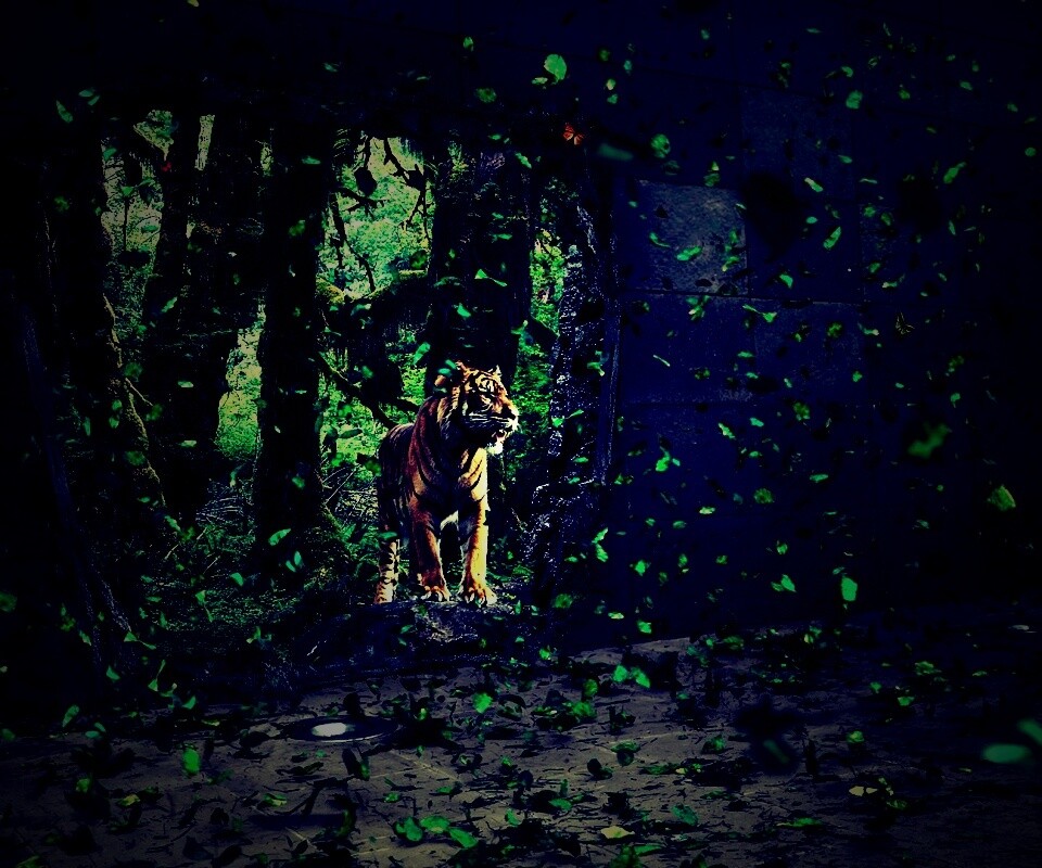 Портал в джунги обои