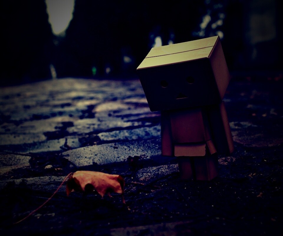 Danbo и первый осенний лист обои