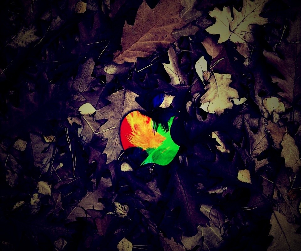 Эпл в сухой листве обои