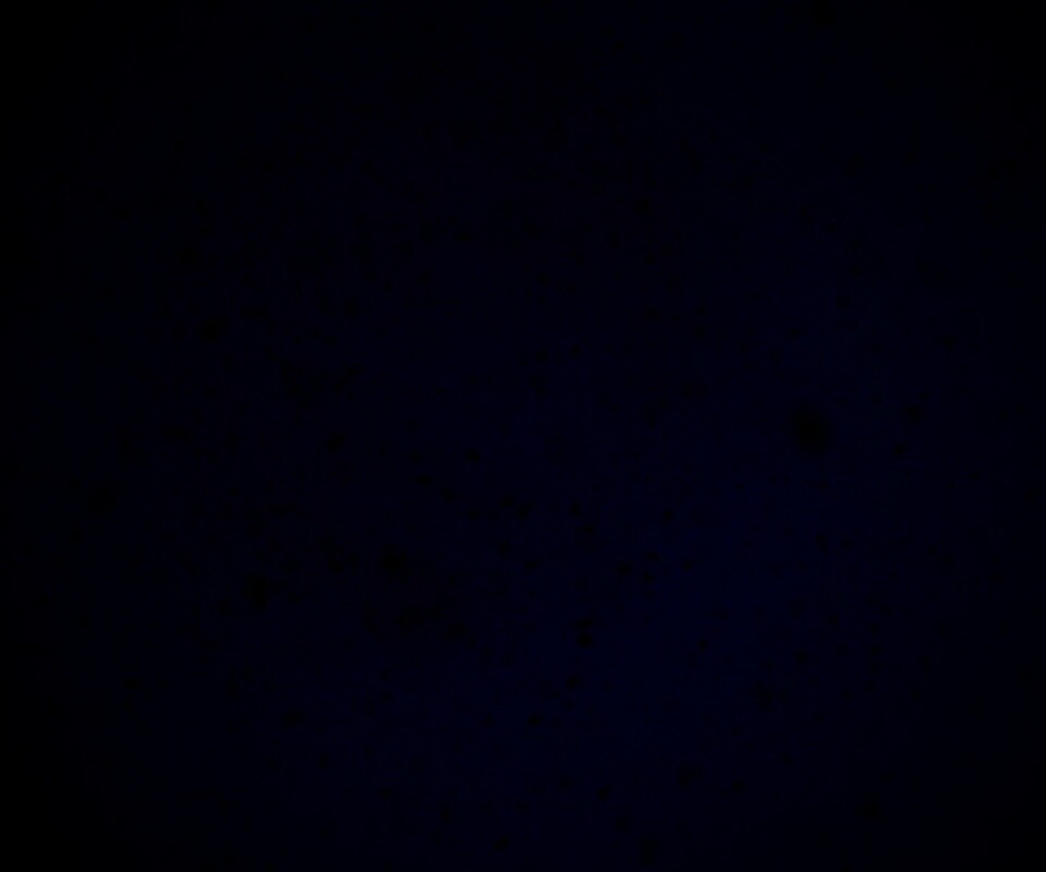 Черные пятна на сером фоне обои