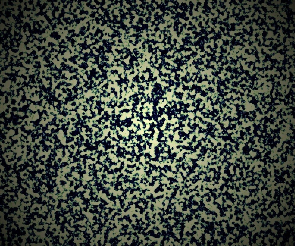 Черно-белый ковролин обои