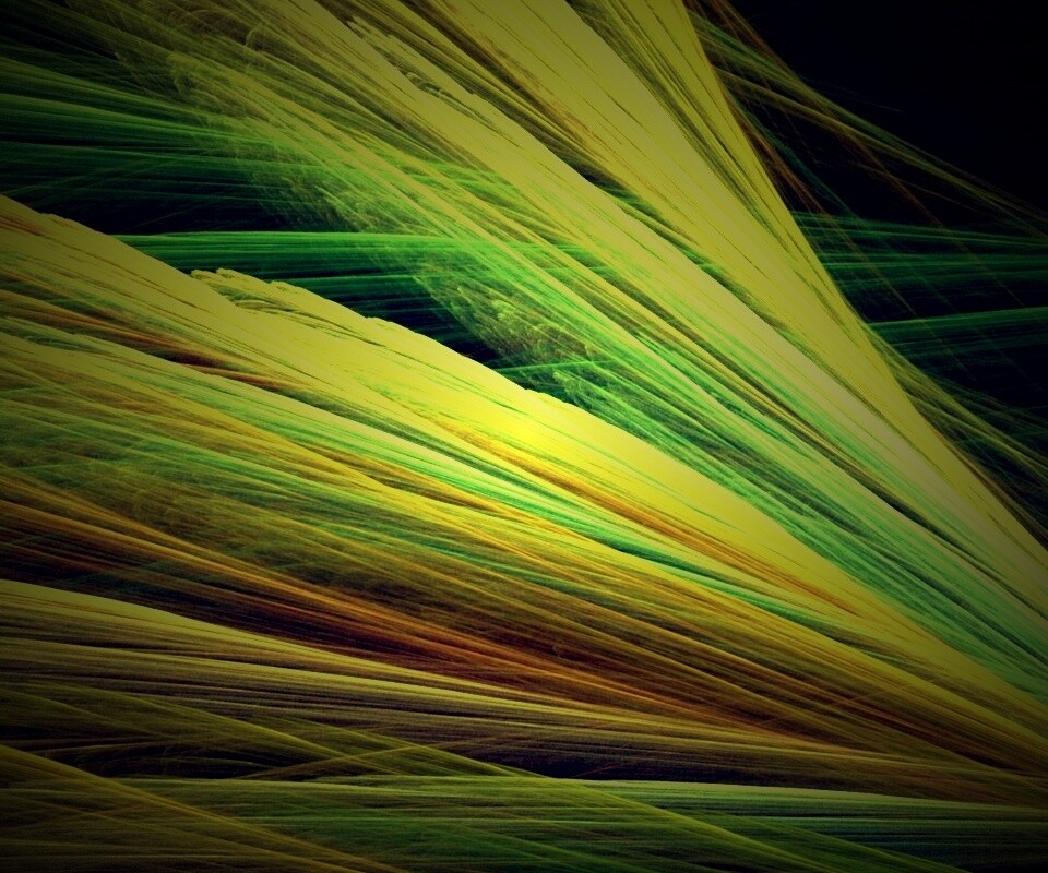 Прозрачные зеленоватые крылья обои