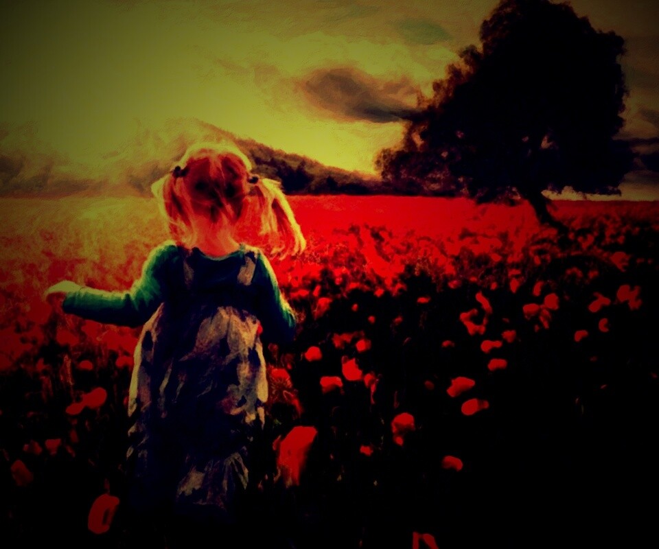 Девочка на маковом поле обои