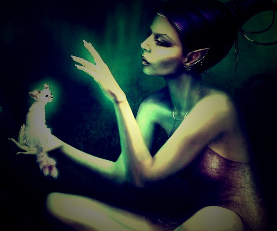 Почет и процветание обои