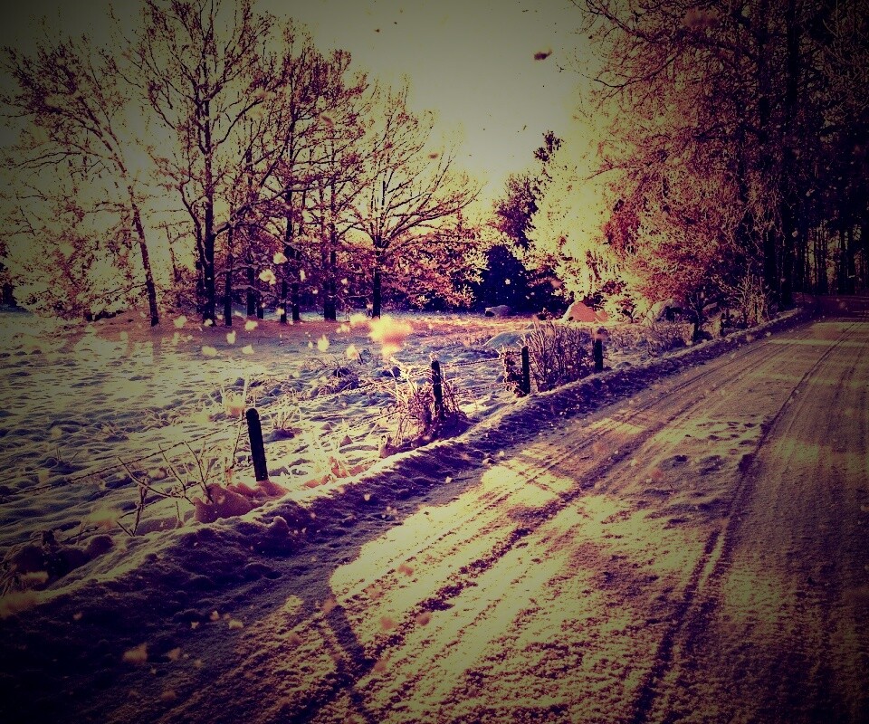 Снежная дорога залитая солнцем обои