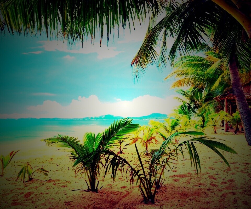 Настоящее лето обои