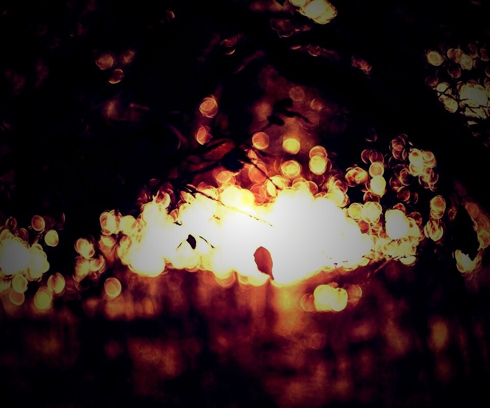 Размытый свет в парке обои