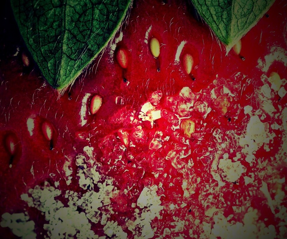 Клубника в сахаре обои