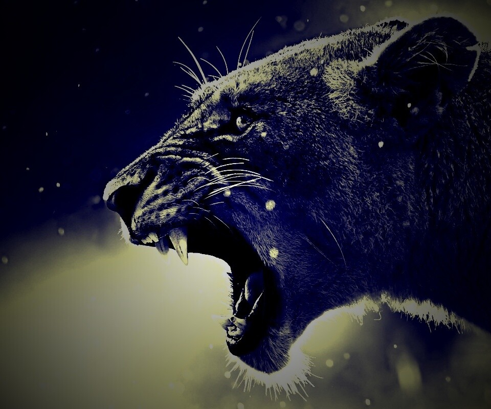 Грозный львиный рык обои