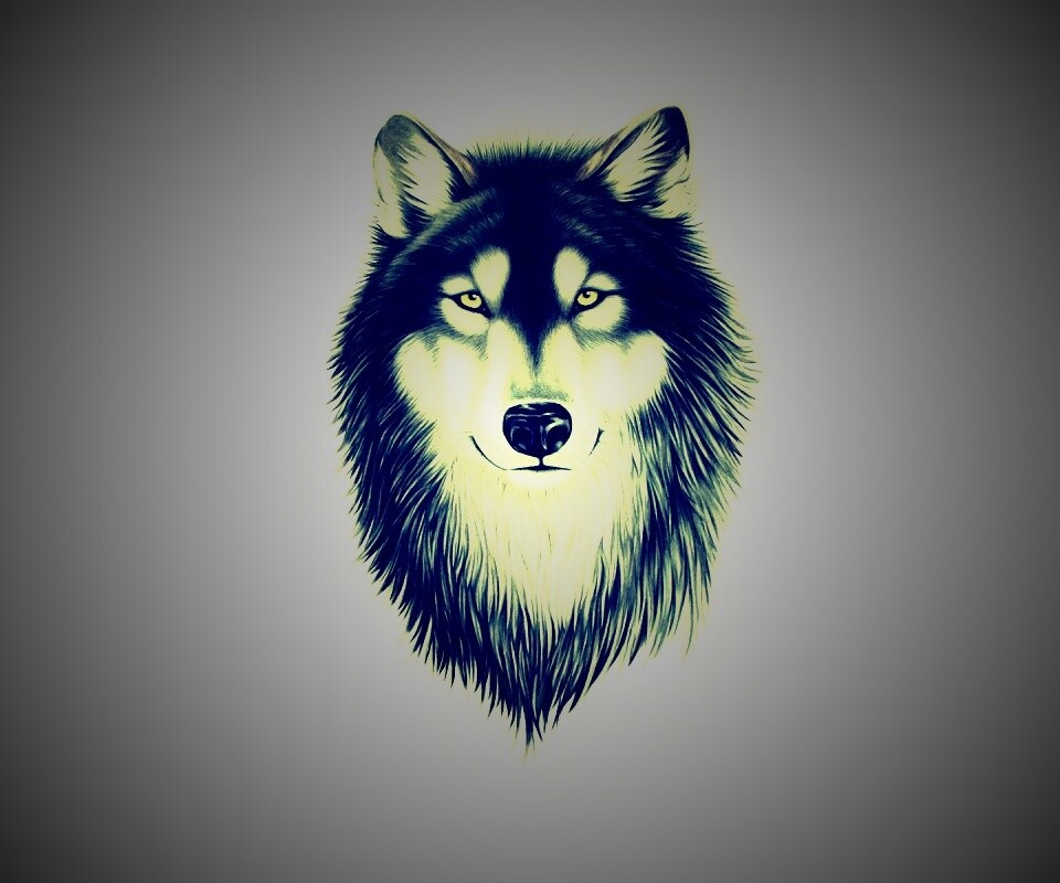 Голова волка обои