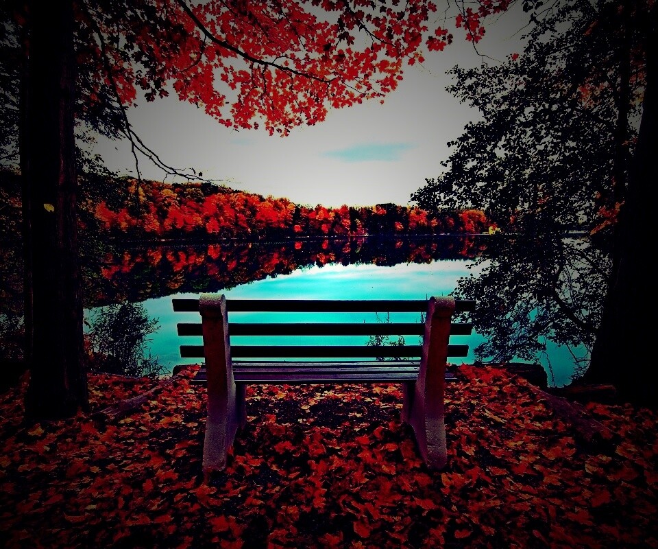 Вид на осеннее озеро обои