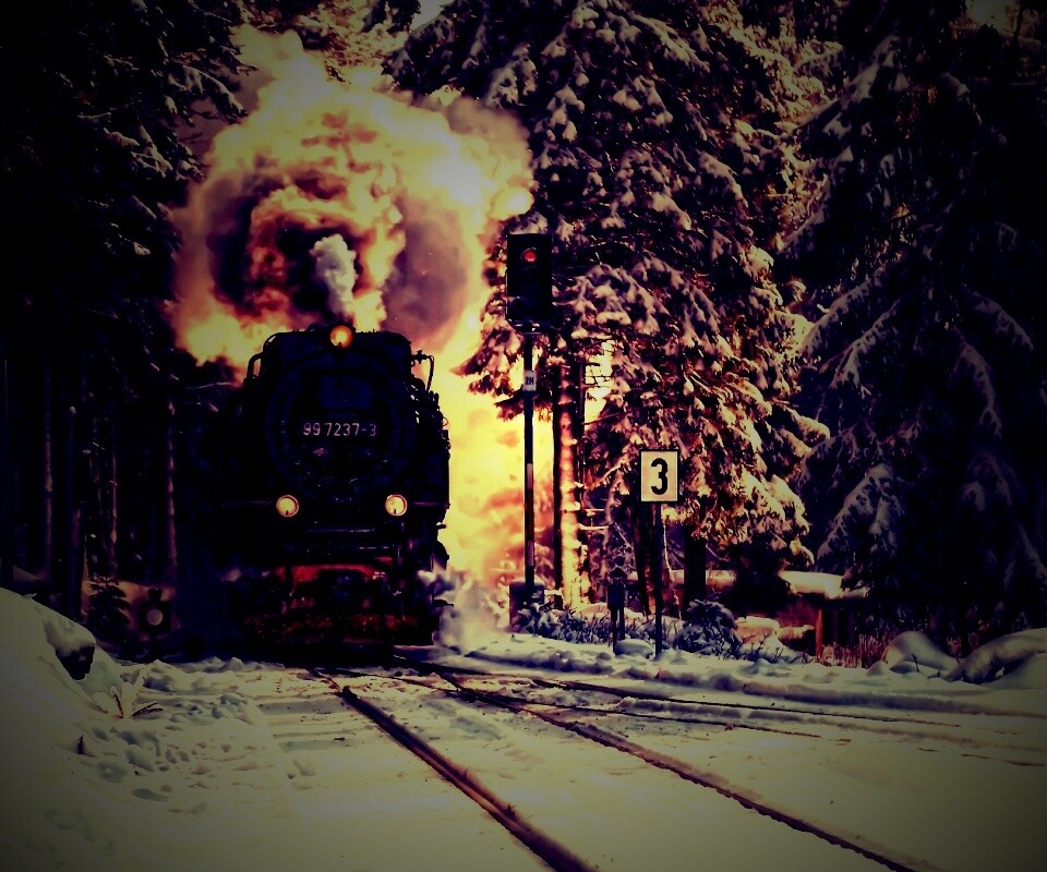 Паровоз в димнем лесу обои
