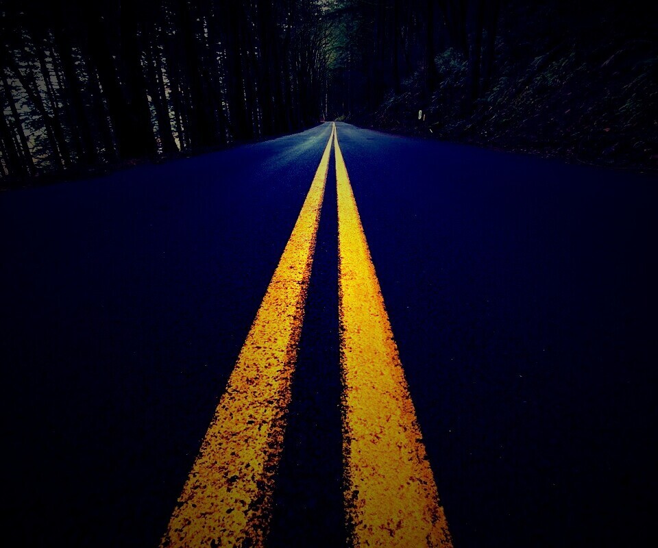 Дорога в лесу обои