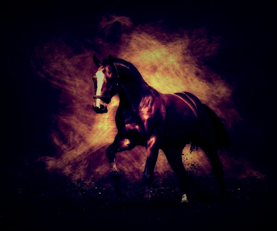 Лошадь обои