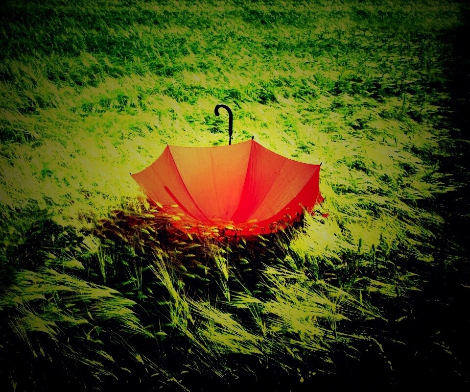 Зонт на траве обои